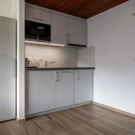 Apartamento Zurschmitten 8 2- Ug Sued Studio- Dusche- Wc 1 Zimmerwohnung- 2-betten By Interhome *