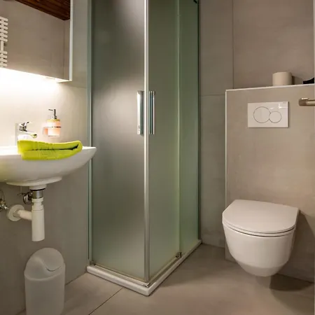 Apartamento Zurschmitten 8 2- Ug Sued Studio- Dusche- Wc 1 Zimmerwohnung- 2-betten By Interhome Riederalp